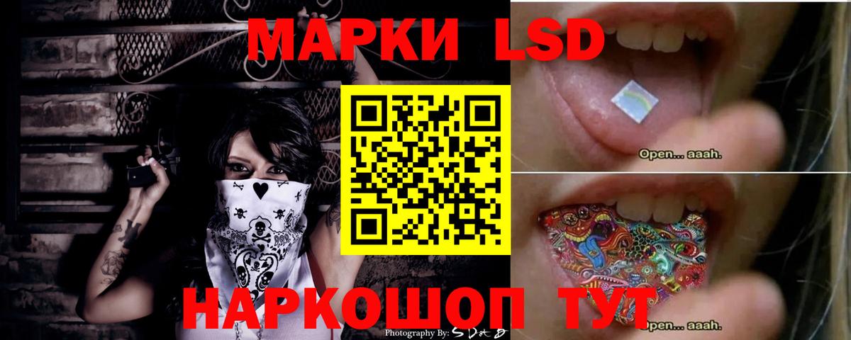 Курчатов  ЛСД экстази ecstasy  Вход с VPN  ЛСД экстази кислота 