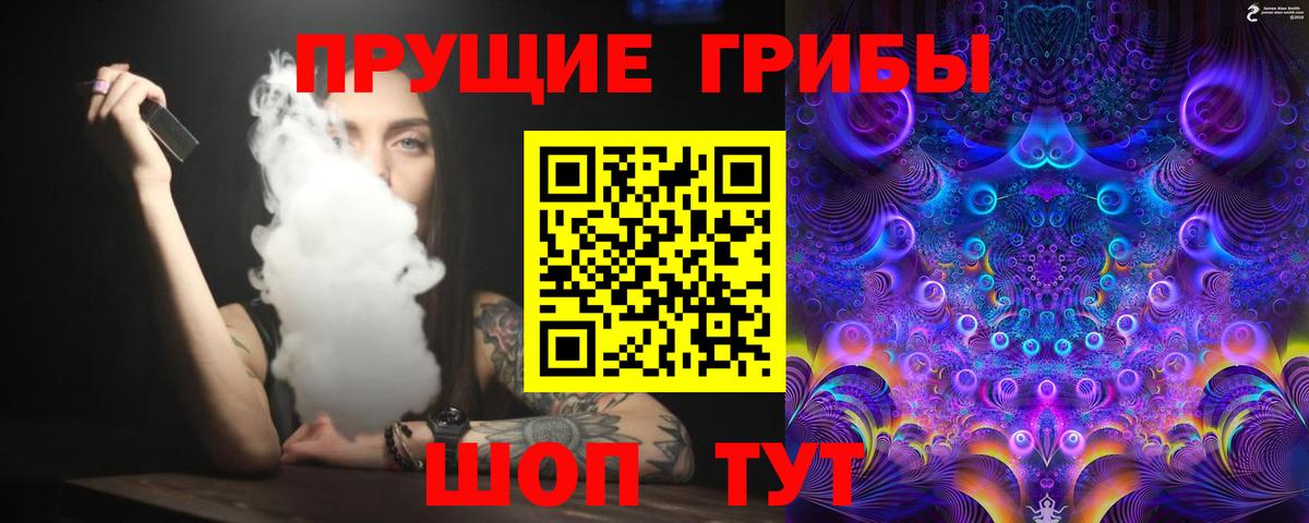 Псилоцибиновые грибы мицелий  Псилоцибиновые грибы мицелий  Курчатов  Вход с VPN 