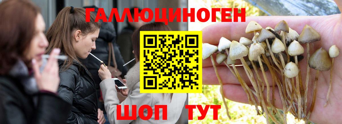 Галлюциногенные грибы прущие грибы Курчатов